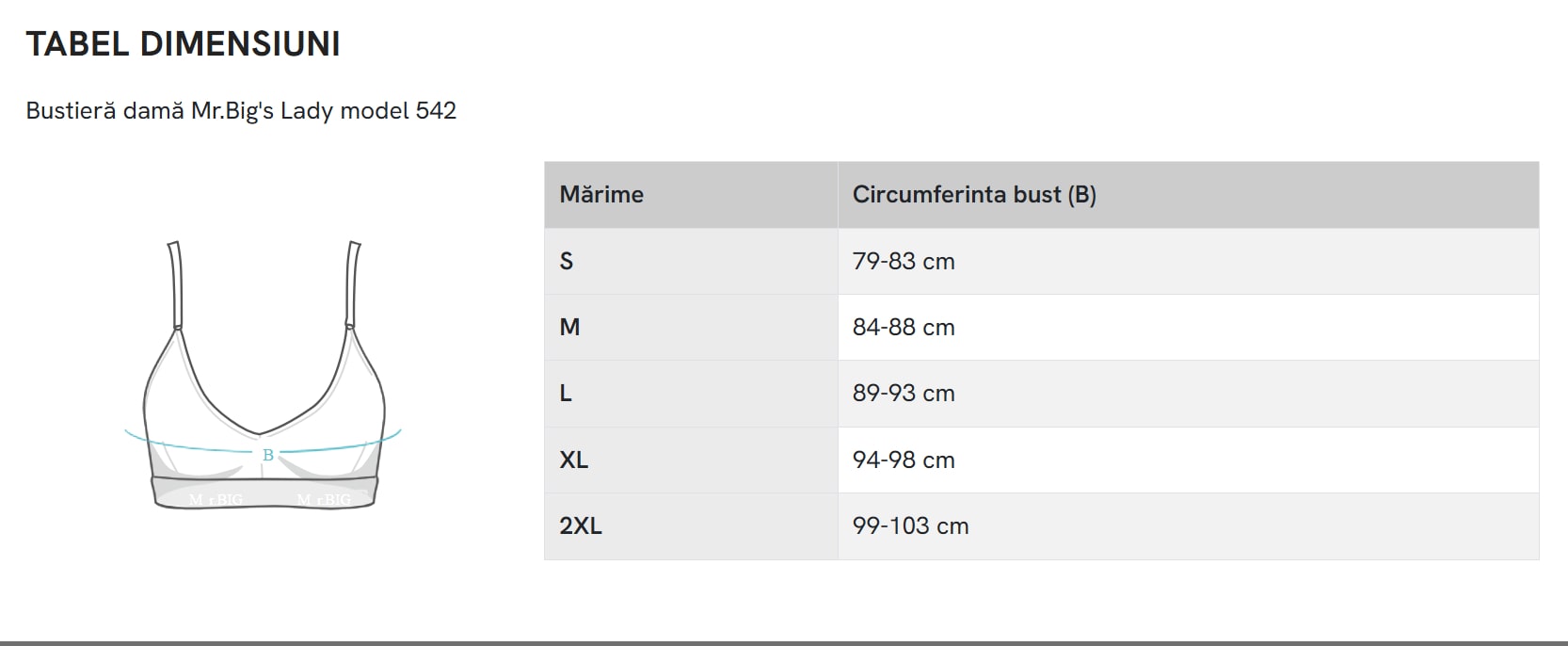 Tabel masuri bustiera 542 Mr. Big