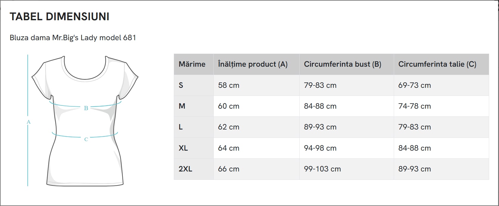 Tabel masuri bluza 681 - Mr. Big